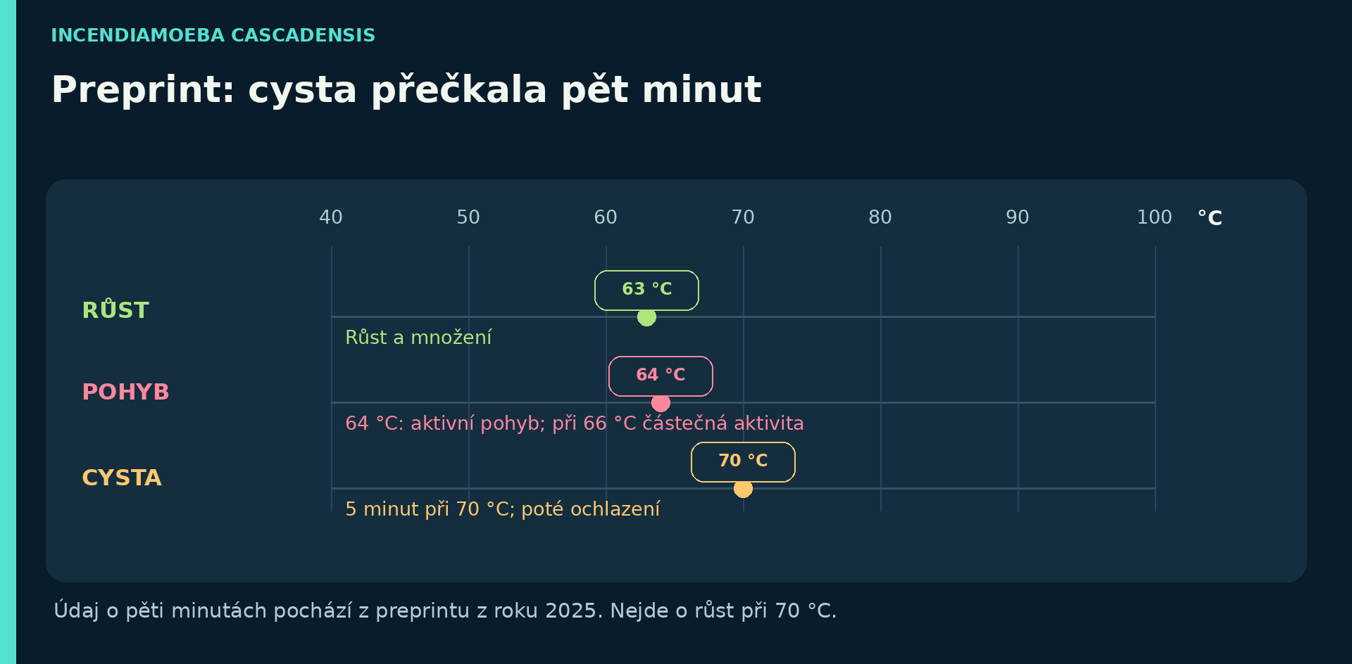 Schéma odlišující množení při 63 °C, aktivní pohyb při 64 °C a krátkodobé přežití cysty po 70 °C.