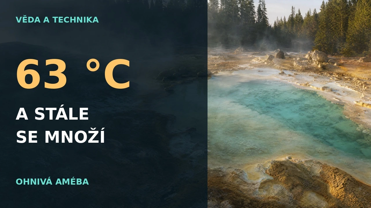 Náhled videa: Améba, která se množí při 63 °C